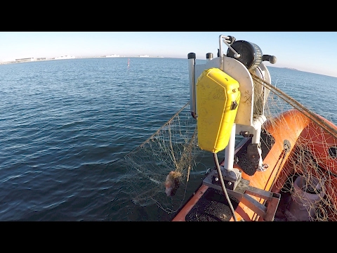 Video: Hvad Fritidsfiskeriloven Siger