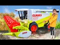 The Claas Lexion 480 Combine stuck in the mud - the Tractor pulled it out