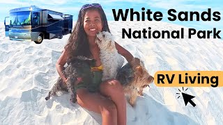 RV Living |Three Dogs React to White Sand Dunes with my Retired Husband. screenshot 2