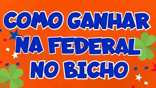 SOMA para Federal de HOJE