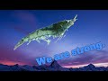 We are shrimp.  We are strong.