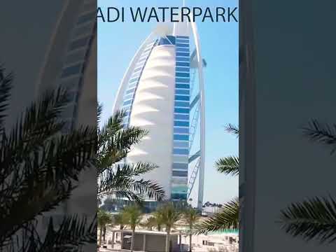 Dubai wild wadi waterpark #shorts  #dubai