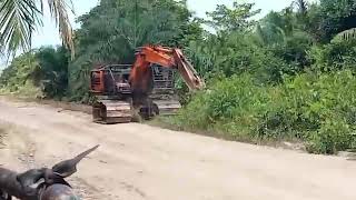 excavator lagi membersihkan rumput di pinggir jalan @new excavator