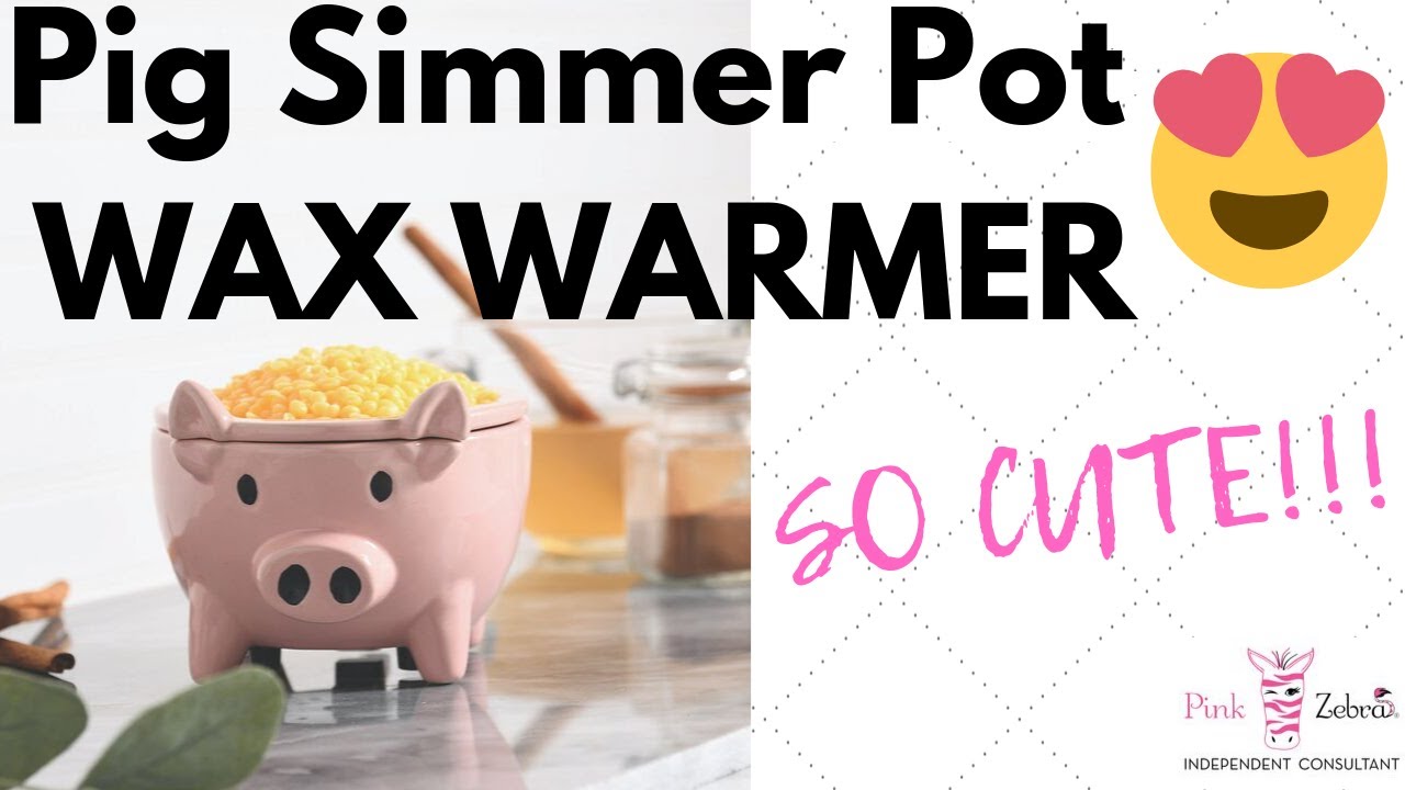 Pig Simmer Pot Wax Warmer Pink Zebra YouTube