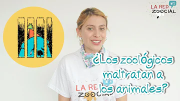 ¿Cuántos zoológicos maltratan a los animales?