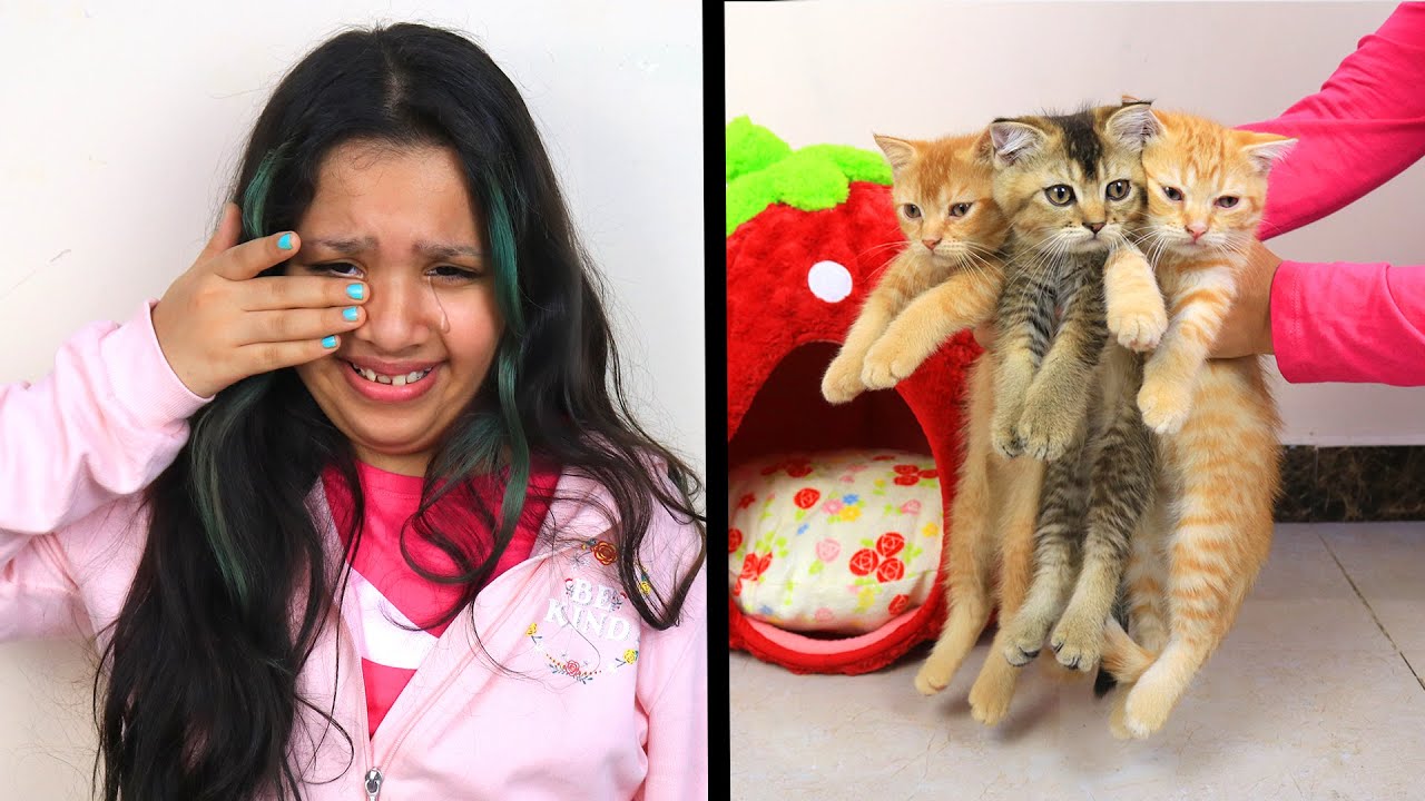 مقلب ضياع القطط في شفا ! بكت ! !Lost Kitten prank