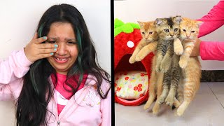 مقلب ضياع القطط في شفا ! بكت ! !Lost Kitten prank