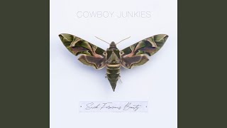 Video thumbnail of "Cowboy Junkies - Blue Skies"