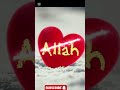 Power of islam ☪️ 💪 💯 #viralvideo #powerofislam #ytshorts #shorts #trending #trending#foryou