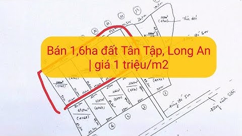 bán 16000m2 đất gần Cảng Quốc tế Long An | 1 triệu/m2 | BĐS Tây Nam Sài Gòn