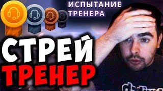 СТРЕЙ ИГРАЕТ В РЕЖИМ ТРЕНЕРА | НЕОБУЧАЕМЫЙ ТУПОЙ ТИММЕЙТ