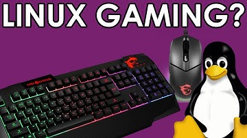 Steam better in Ubuntu? - Game in Linux in 2021