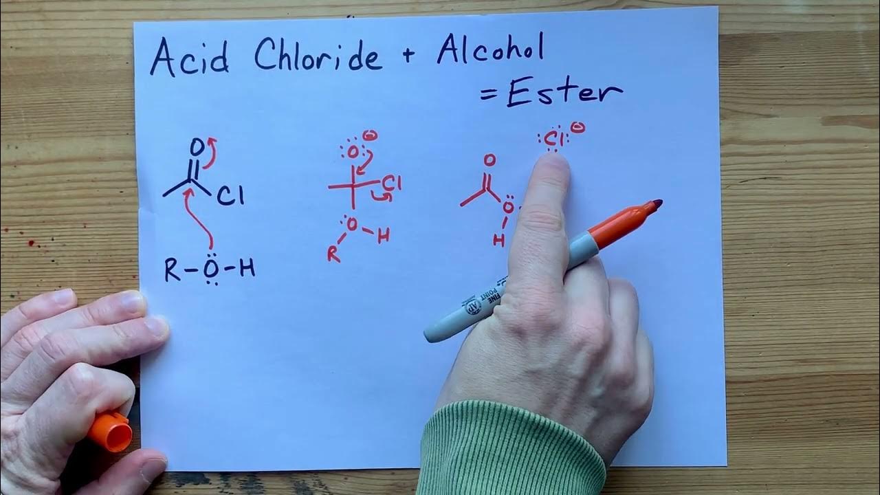 Acid Chloride + Alcohol = Ester (Mechanism) YouTube