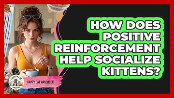 How Does Positive Reinforcement Help Socialize Kittens? - Happy Cat Handbook