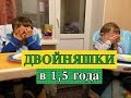 Развитие двойни в 1,5 года