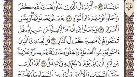 سورة إبراهيم الشيخ ياسر الدوسري صفحة ٢٥٩