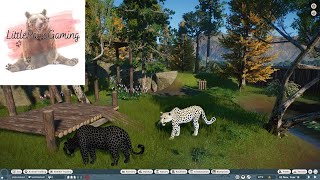 Planet Zoo Amur Leopard Gameplay