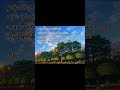 မပိုင်ဆိုင်ရရင်လည်းဖြစ်တယ် #fyp #foryou #poem #yangon #creatorsearchinsights