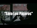 Miniature de la vidéo de la chanson Sólo Los Pájaros