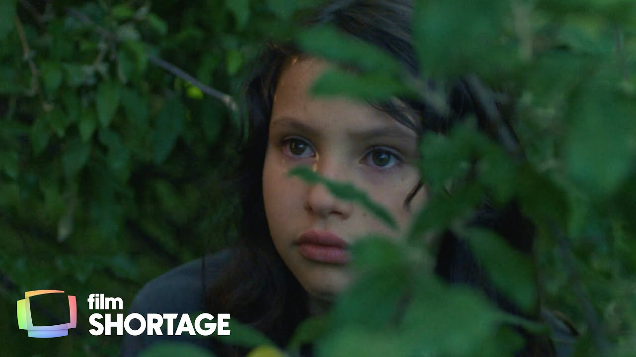 Убежище (драма) | Детское любопытство открывает болезненную правду