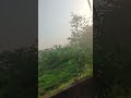 natural seen#motivation #youtubeshorts #naturelovers #naturesounds #shortvideo