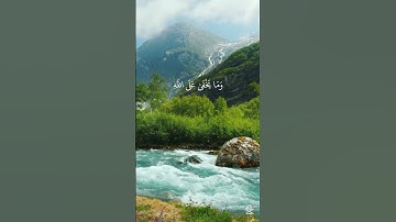 قران كريم القران الكريم بصوت جميل جدا هادئ راحه نفسيه أرح قلبك وسمعك #quranhearts