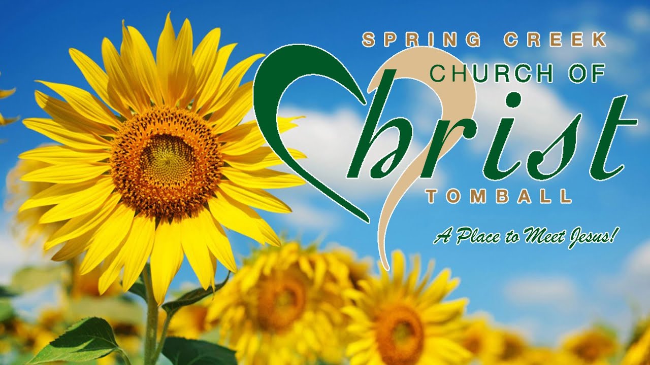 Spring Creek Church of Christ November 20th PM Stream YouTube