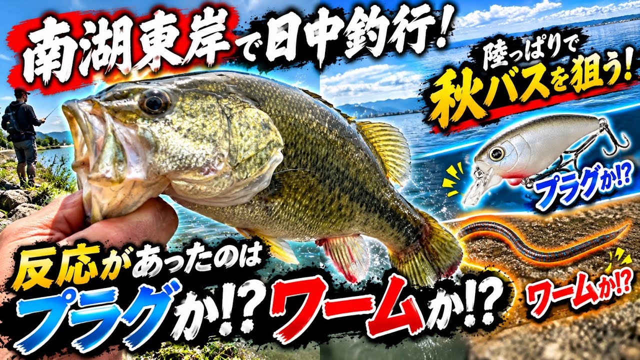 【バスフィッシング】時合も終わった南湖東岸で秋のバスを探す！なかなか口を使ってくれないバスにはやっぱりキリカケディバイド！