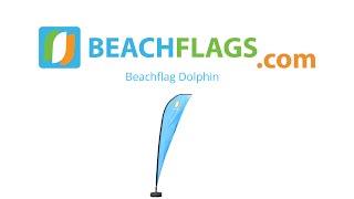 Beachflag Dolphin, Beach Flag Dolphin