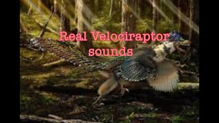 ☊ Velociraptor Sounds Soundboard