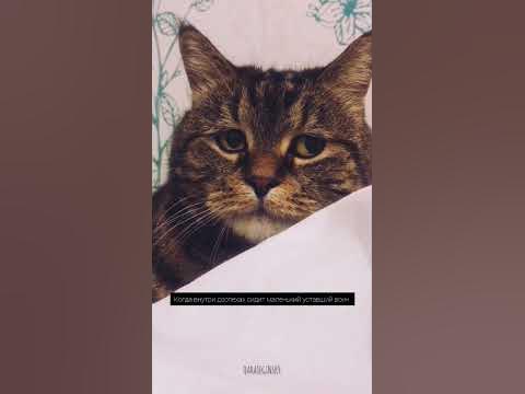 уставший воин - YouTube