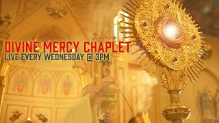 📿 Divine Mercy Chaplet | Live Eucharistic Adoration | Wednesdays 3PM