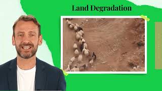 DISADVANTAGES AND EFFECTS OF OVERGRAZING - degradation of habitats
