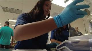 Hoover High Students Study Microplastics in University of San Diego lab