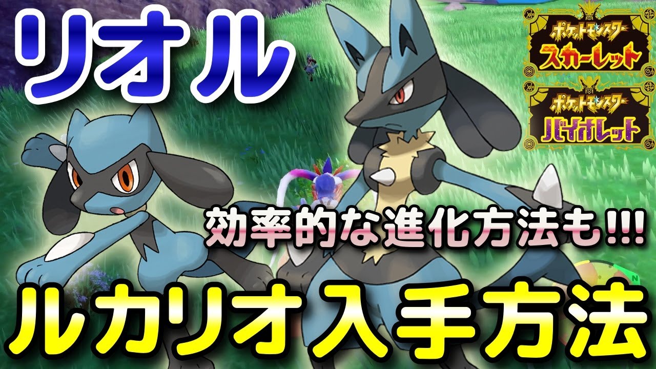 Pokemon SV] Where to find Riolu and how to evolve it into Lucario