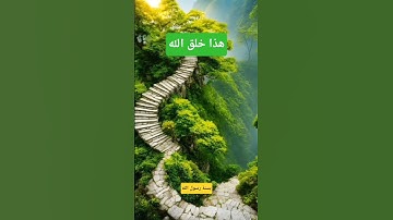 الشيخ محمد صديق المنشاوي | تلاوة خاشعة ﴿ هذا خلق الله ﴾