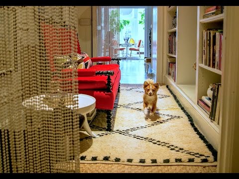 Video: Jonathan Adler: Mixing Dogs With Design