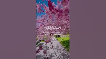 #قران_كريم #قرآن #تلاوة_خاشعة #quran #راحة_نفسية #فلسطين #allah #اكسبلور