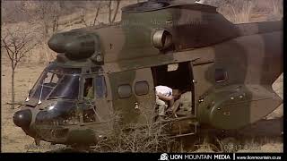 When Rhinos Took to the Skies: SAAF & SANParks’ Epic Rhino Airlifts at Loskop Dam