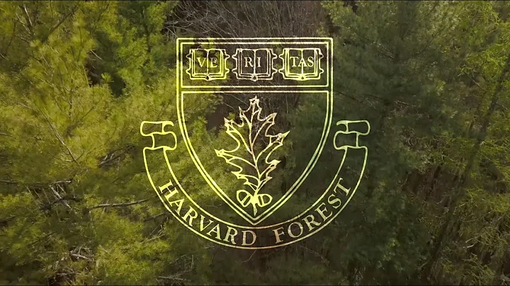 30 years of ecological research in Harvard’s wired forest - DayDayNews