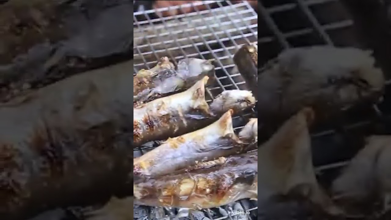 Primitive Cooking Recipes | Family Cooking Recipies