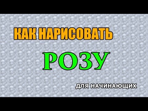 Видео: Как поэтапно нарисовать РОЗУ для начинающих и детей?