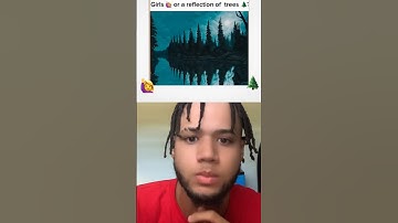 ONLY GENIUSES CAN SEE THE GIRL HIDDEN IN THE IMAGE, WHAT DO YOU SEE? #test #genius #impossible #try