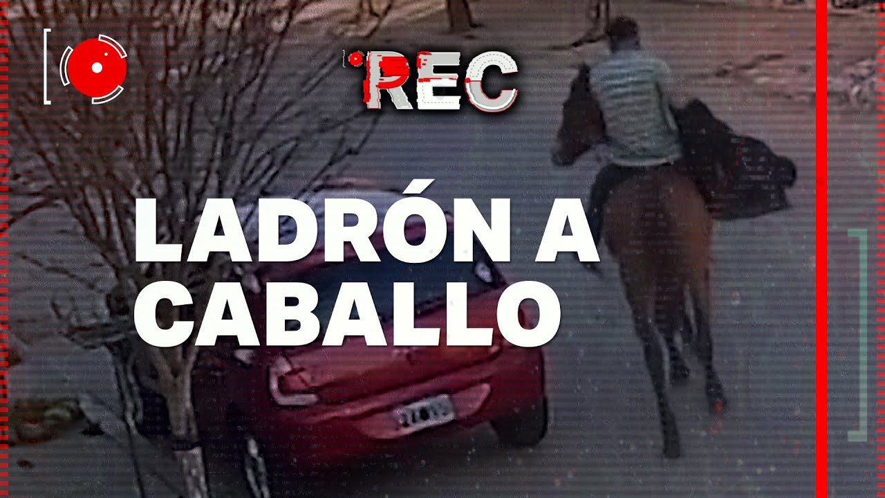 LADRÓN A CABALLO - LADRONES OLVIDAN AL CÓMPLICE - 🔴REC