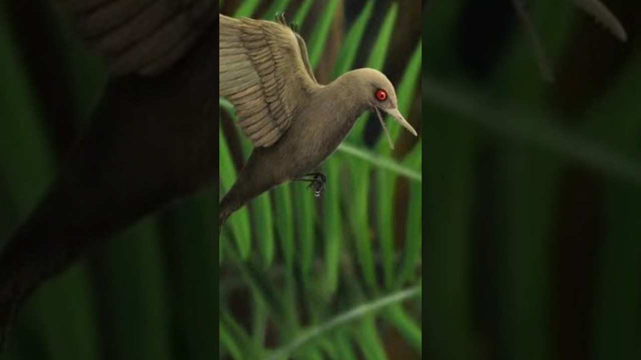 O Oculudentavis é um Dinossauro ou um Lagarto? 