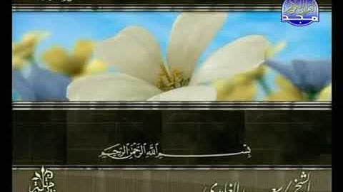 سورة الملك بصوت الشيخ سعد الغامدي المجد للقرآن الك(480P