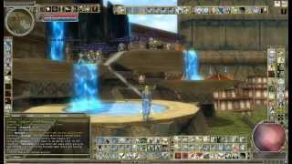 Veteran's Day DDO All Server Ceremony - by Tyrs Paladium Guild