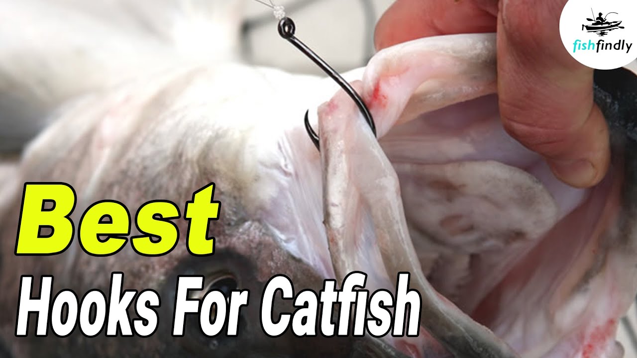 Best Hooks For Catfish In 2020 – Catch The Catfish More Easily! 
