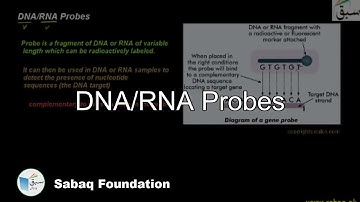 DNA/RNA Probes, Biology Lecture | Sabaq.pk