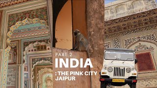 ??✨INDIA VLOG - PART 2 - Jaipur, street walks, Indian wedding